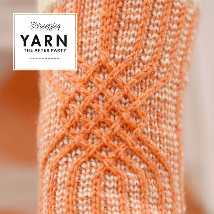 YARN The After Party nr. 53 - Twisted Socks - Afbeelding 4